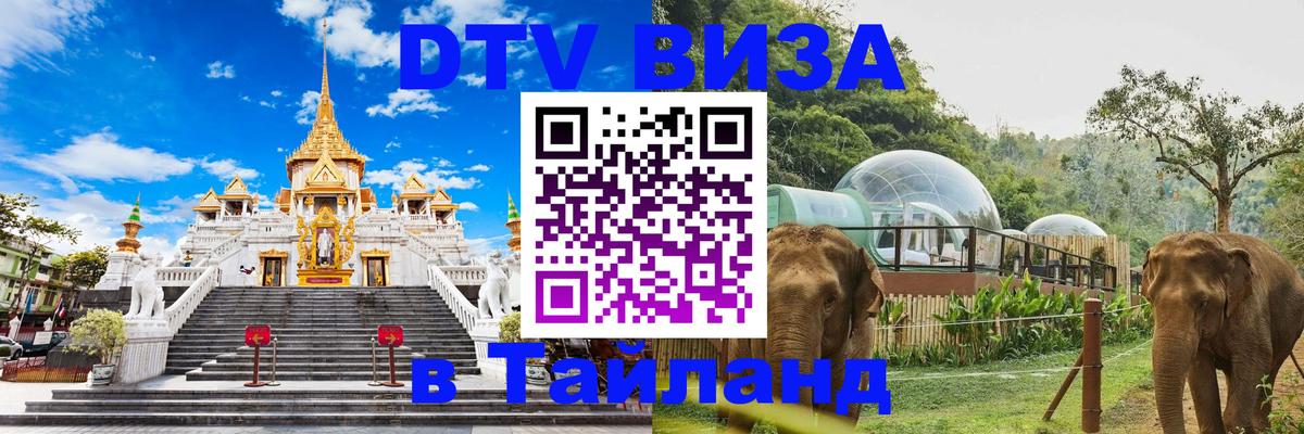 Оформление DTV визы под ключ: стоимость и тарифы, только загранпаспорт - 07.01.2026 